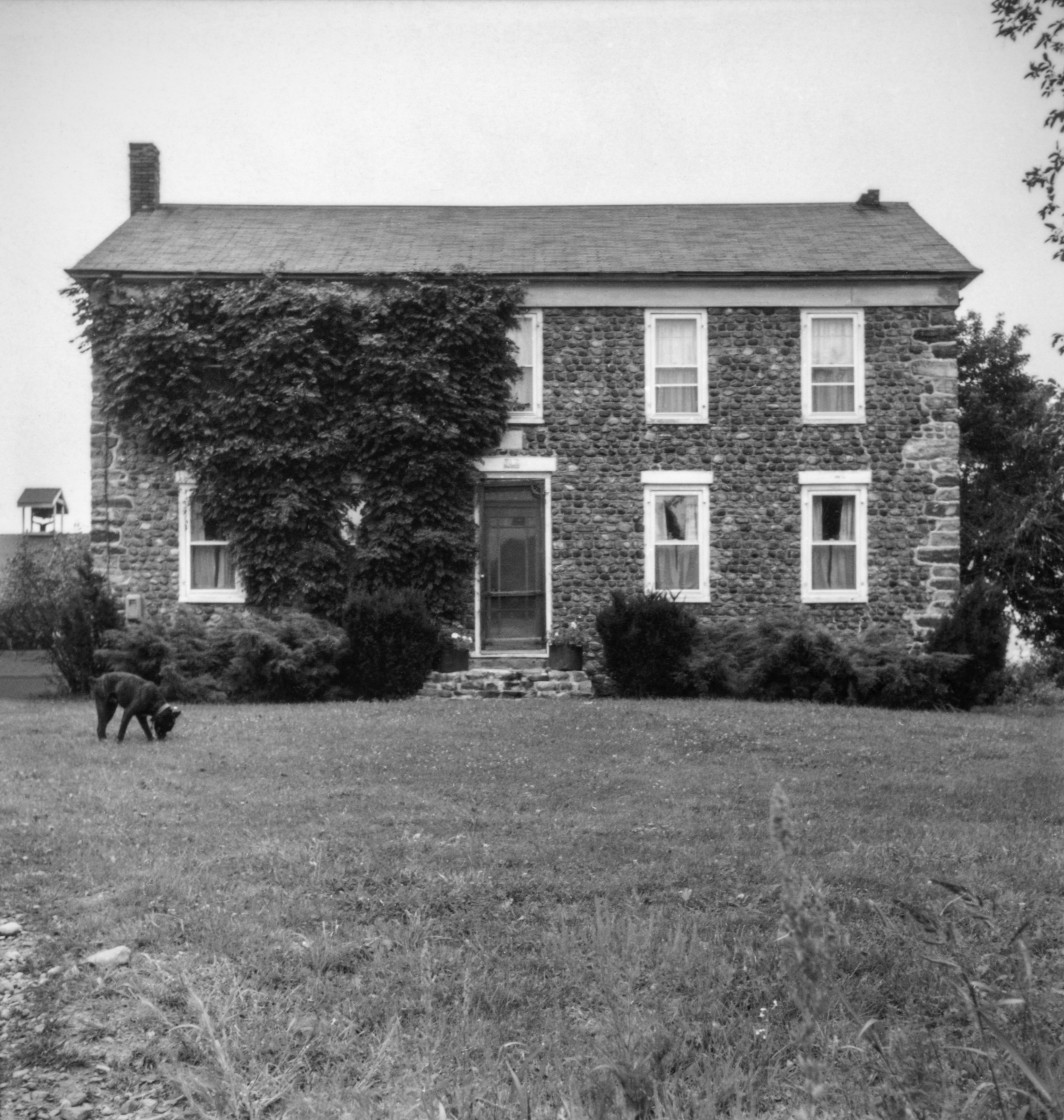 GP Wayne Lyons Lyo-1 1-1 N